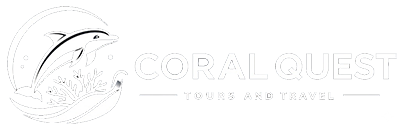 logo3